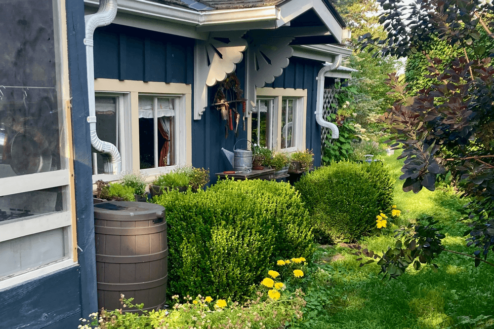 A blue house with decorative eaves surrounded by green shrubs and yellow flowers in a garden.