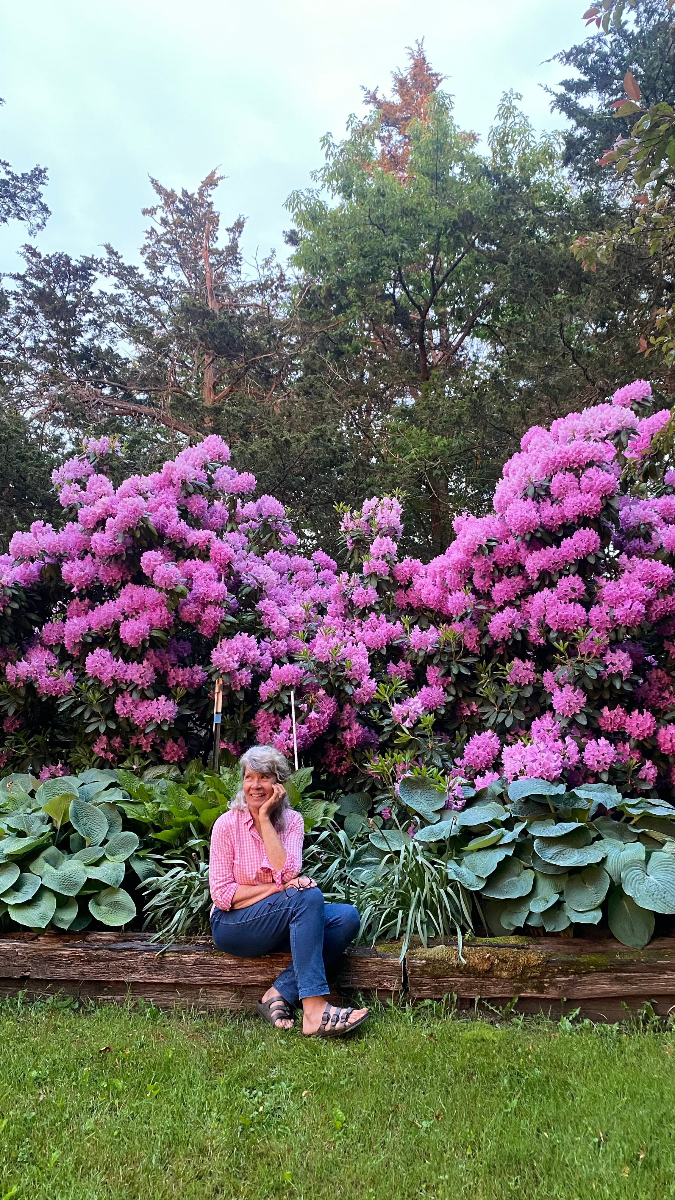 Outdoor photo of Thyme in the Country proprietor seated in front of a bright pink rhododendron hedge.
