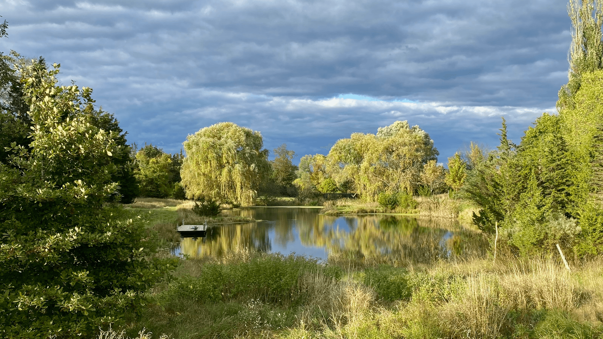 A tranquil pond surrounded by lush greenery and a cloudy sky.