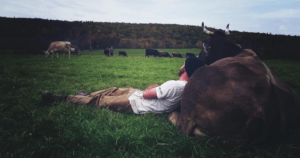Hawthorne Valley Farm
