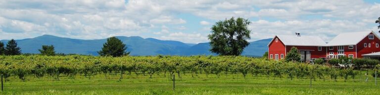 Clermont Vineyard and Winery
