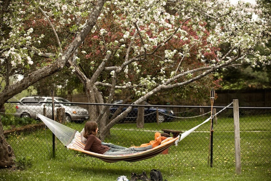 Hammock Guys (2017)