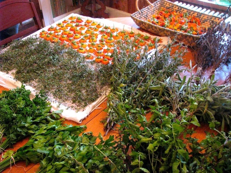 herbal harvest