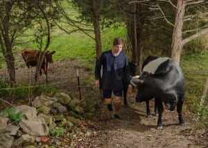 Teddy caring for the animals. (2015)