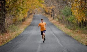 Teddy running. (2015)