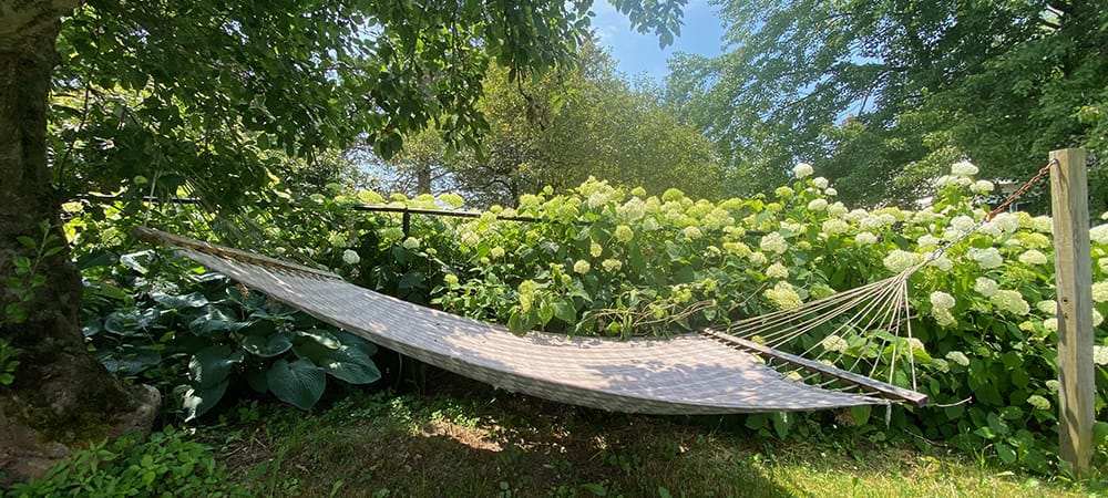 IMG_3321 1000x450 Our hammock in the garden