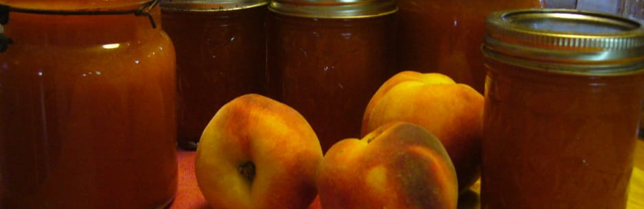 Peaches preserved (2017)