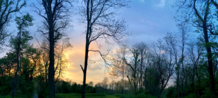 Beautiful evening walks over the farmscape behind our property.