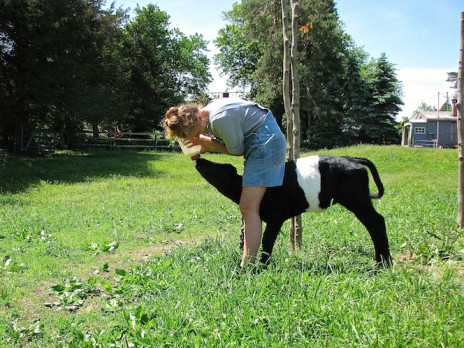 Help us with farm chores